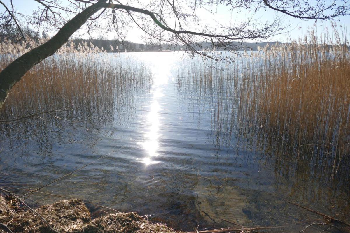 Landhaus Am See App. 2 Ponitz am See Eksteriør bilde